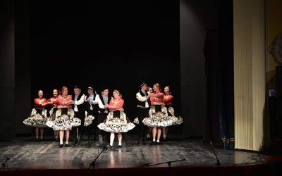 Republička sportska Domijada