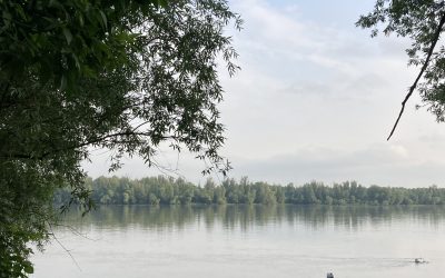 Najkrajšia fotografia prírody vôkol nás