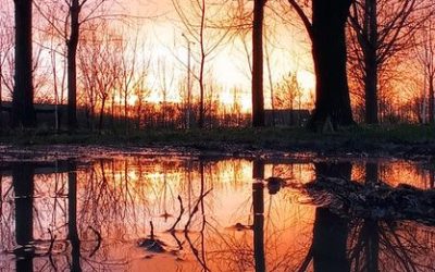 Odmenené práce fotografického súbehu VODA
